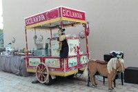 Progetto ''Carretto Siciliano''